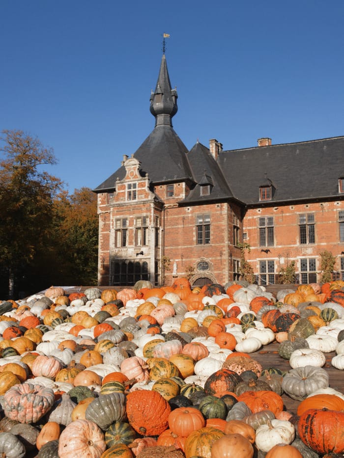 Pumpkimania : la magie de l’automne au cœur du château de Grand-Bigard