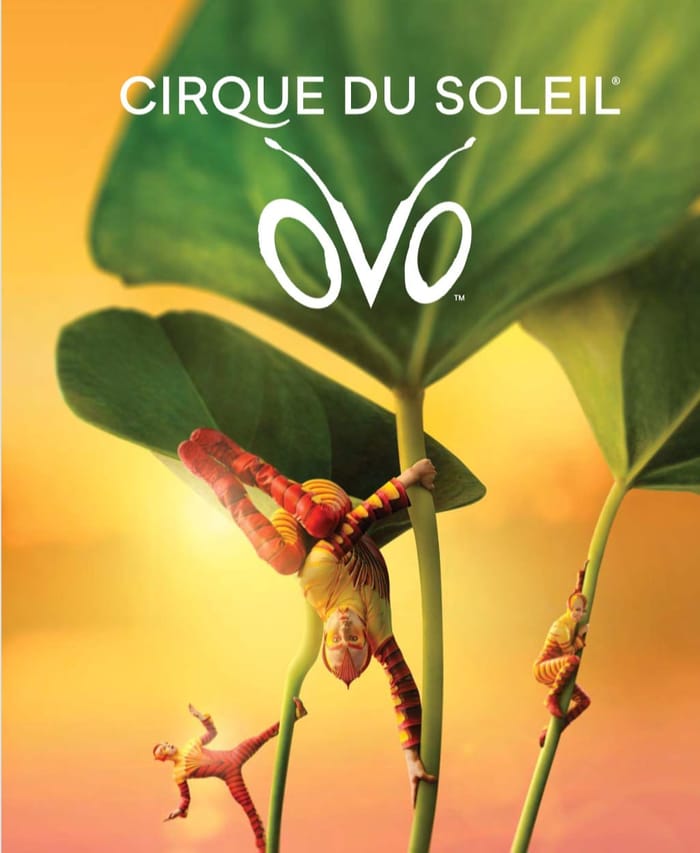 OVO : QUAND LE CIRQUE DU SOLEIL NOUS INVITE A ENTRER DANS UN MONDE EXTRAORDINAIRE ...